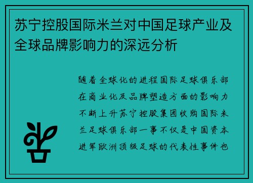 苏宁控股国际米兰对中国足球产业及全球品牌影响力的深远分析 苏宁控股国际米兰对中国足球产业及全球品牌影响力的深远分析