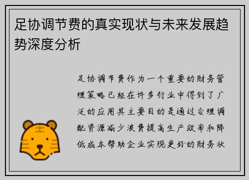 足协调节费的真实现状与未来发展趋势深度分析 足协调节费的真实现状与未来发展趋势深度分析